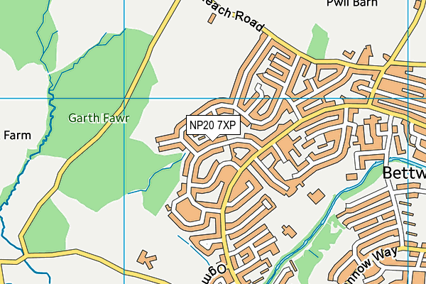NP20 7XP map - OS VectorMap District (Ordnance Survey)