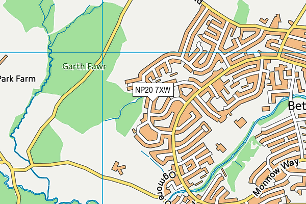 NP20 7XW map - OS VectorMap District (Ordnance Survey)