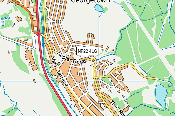 NP22 4LG map - OS VectorMap District (Ordnance Survey)