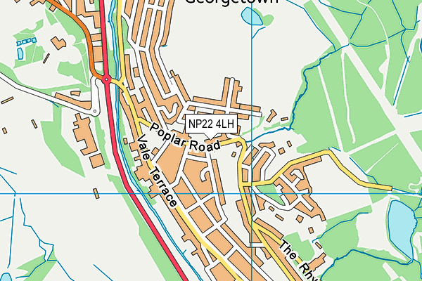 NP22 4LH map - OS VectorMap District (Ordnance Survey)