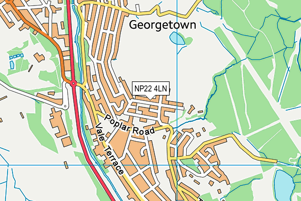 NP22 4LN map - OS VectorMap District (Ordnance Survey)