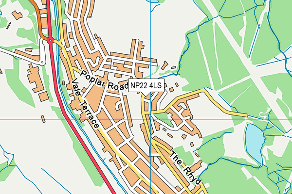 NP22 4LS map - OS VectorMap District (Ordnance Survey)