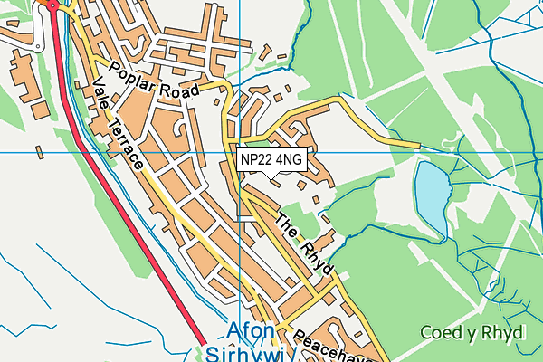 NP22 4NG map - OS VectorMap District (Ordnance Survey)