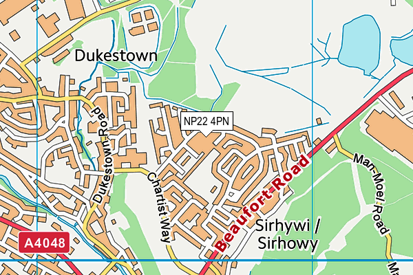 NP22 4PN map - OS VectorMap District (Ordnance Survey)
