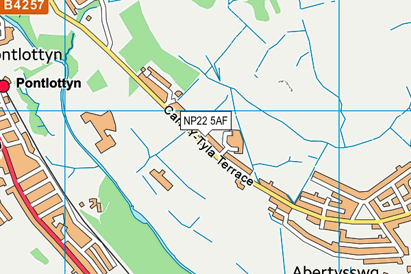 NP22 5AF map - OS VectorMap District (Ordnance Survey)