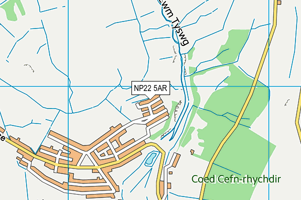 NP22 5AR map - OS VectorMap District (Ordnance Survey)