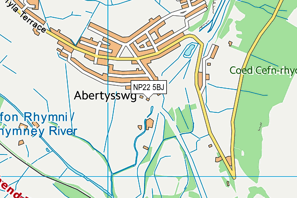 NP22 5BJ map - OS VectorMap District (Ordnance Survey)