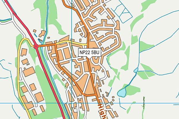 NP22 5BU map - OS VectorMap District (Ordnance Survey)