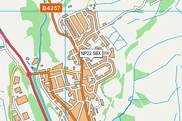 NP22 5BX map - OS VectorMap District (Ordnance Survey)