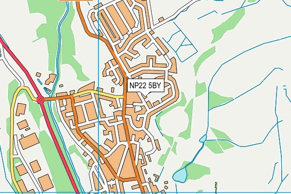 NP22 5BY map - OS VectorMap District (Ordnance Survey)