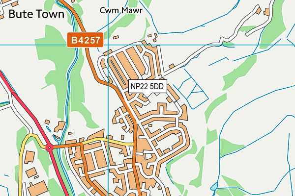 NP22 5DD map - OS VectorMap District (Ordnance Survey)