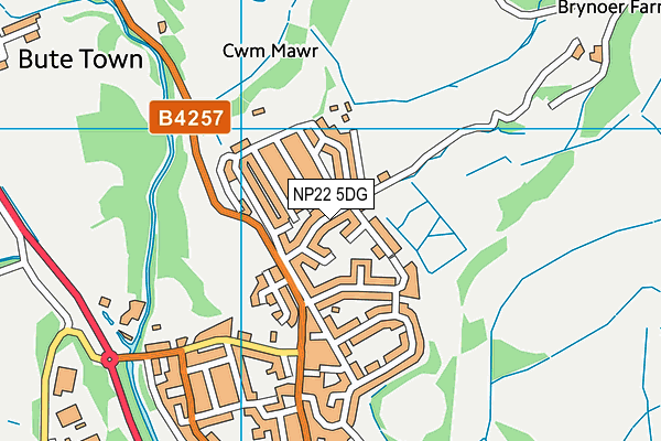 NP22 5DG map - OS VectorMap District (Ordnance Survey)