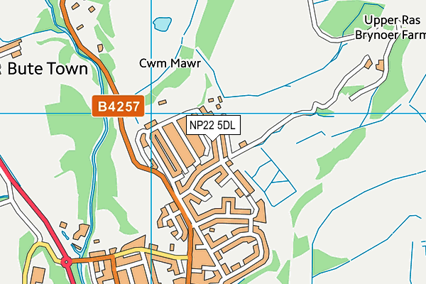 NP22 5DL map - OS VectorMap District (Ordnance Survey)