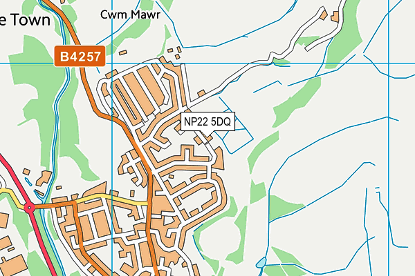 NP22 5DQ map - OS VectorMap District (Ordnance Survey)