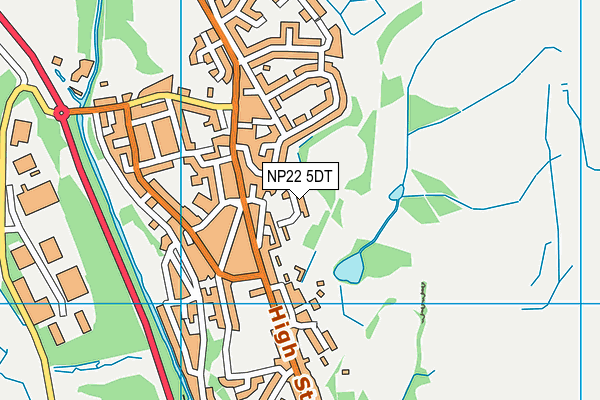 NP22 5DT map - OS VectorMap District (Ordnance Survey)