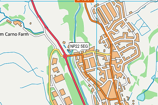 NP22 5EG map - OS VectorMap District (Ordnance Survey)