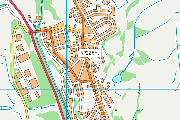 NP22 5HJ map - OS VectorMap District (Ordnance Survey)