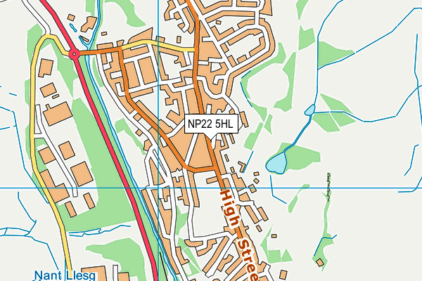NP22 5HL map - OS VectorMap District (Ordnance Survey)