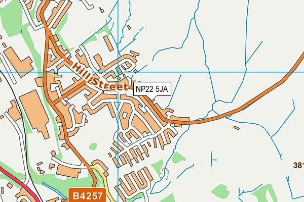 NP22 5JA map - OS VectorMap District (Ordnance Survey)