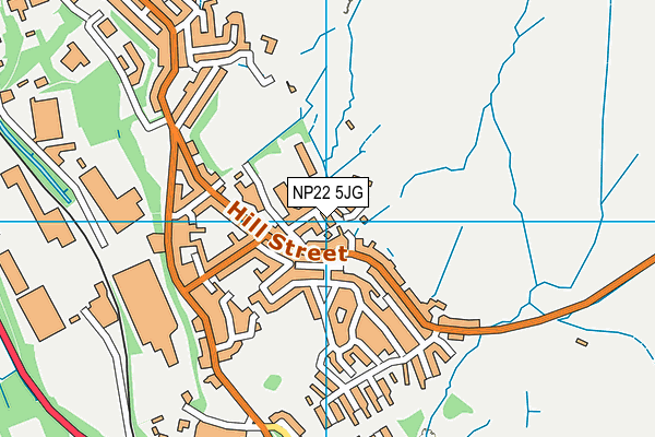 NP22 5JG map - OS VectorMap District (Ordnance Survey)