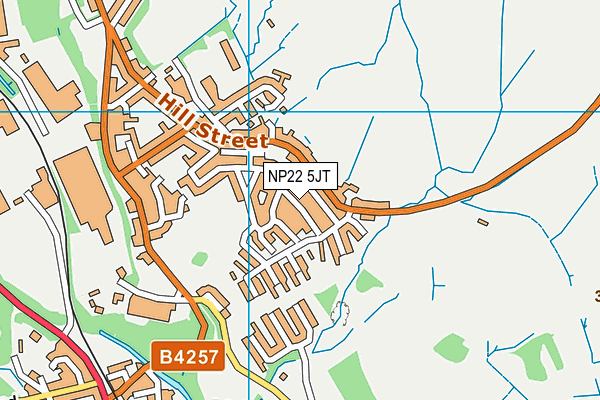 NP22 5JT map - OS VectorMap District (Ordnance Survey)