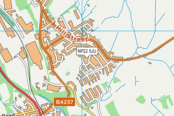 NP22 5JU map - OS VectorMap District (Ordnance Survey)