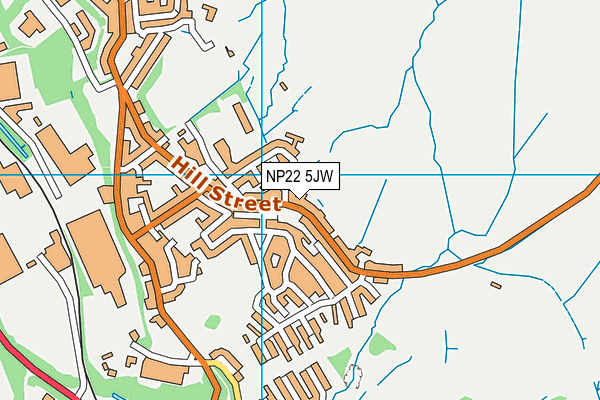 NP22 5JW map - OS VectorMap District (Ordnance Survey)