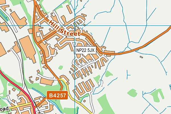 NP22 5JX map - OS VectorMap District (Ordnance Survey)