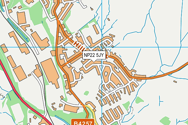 NP22 5JY map - OS VectorMap District (Ordnance Survey)