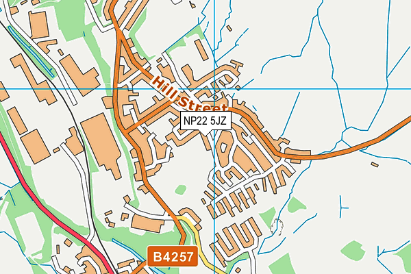 NP22 5JZ map - OS VectorMap District (Ordnance Survey)