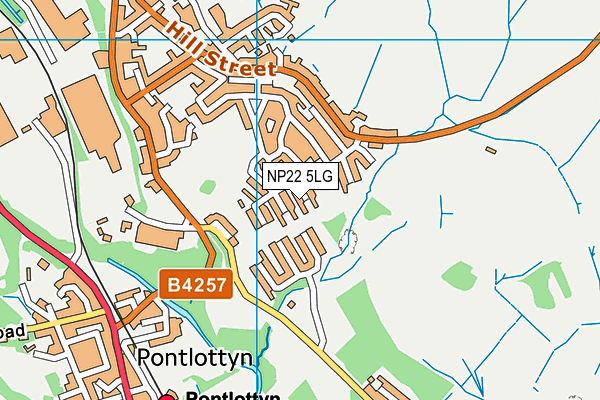 NP22 5LG map - OS VectorMap District (Ordnance Survey)