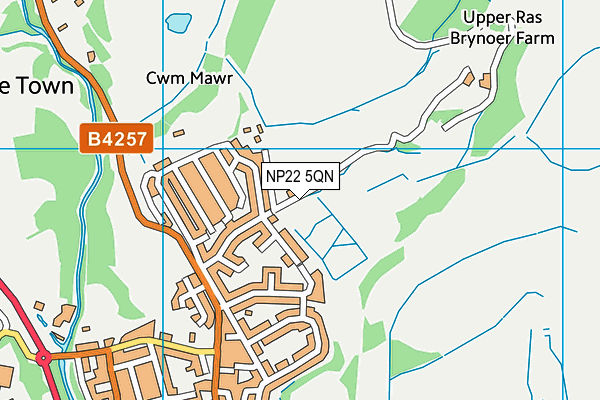 NP22 5QN map - OS VectorMap District (Ordnance Survey)
