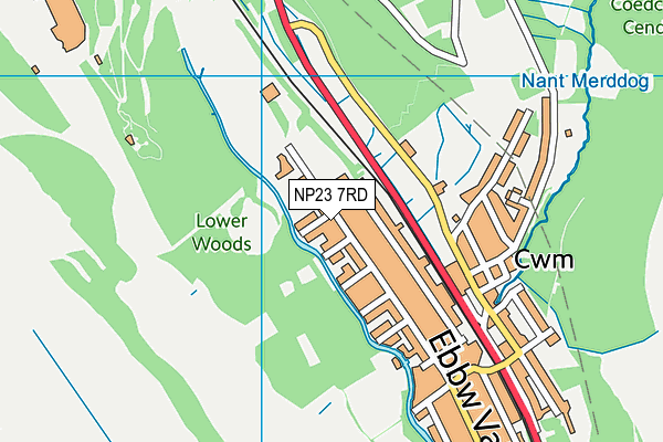 Cwm Primary School map (NP23 7RD) - OS VectorMap District (Ordnance Survey)