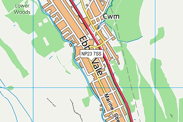 NP23 7SS map - OS VectorMap District (Ordnance Survey)