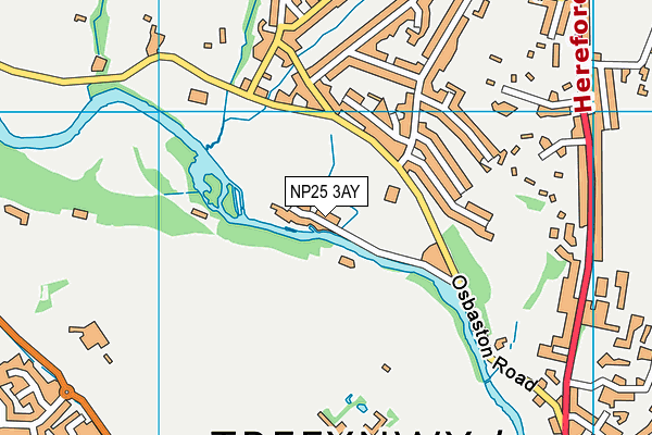 NP25 3AY map - OS VectorMap District (Ordnance Survey)