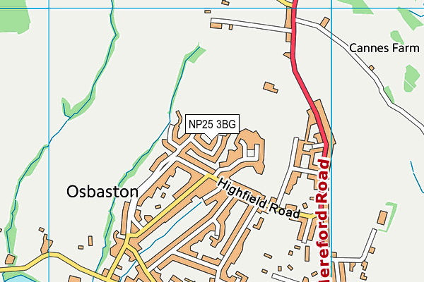 NP25 3BG map - OS VectorMap District (Ordnance Survey)