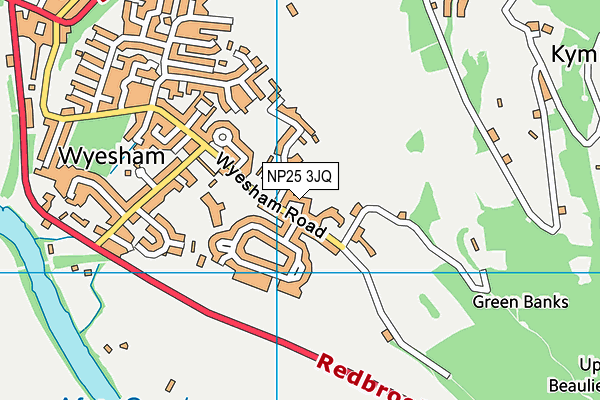 NP25 3JQ map - OS VectorMap District (Ordnance Survey)