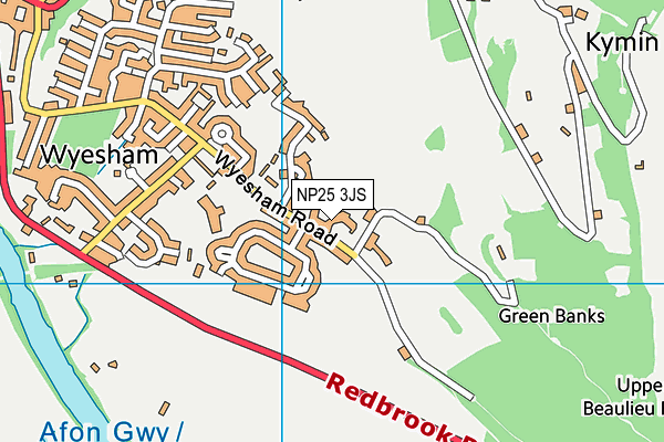 NP25 3JS map - OS VectorMap District (Ordnance Survey)