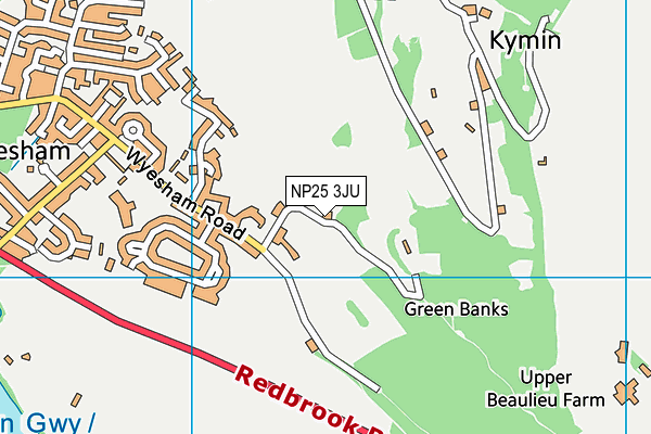 NP25 3JU map - OS VectorMap District (Ordnance Survey)