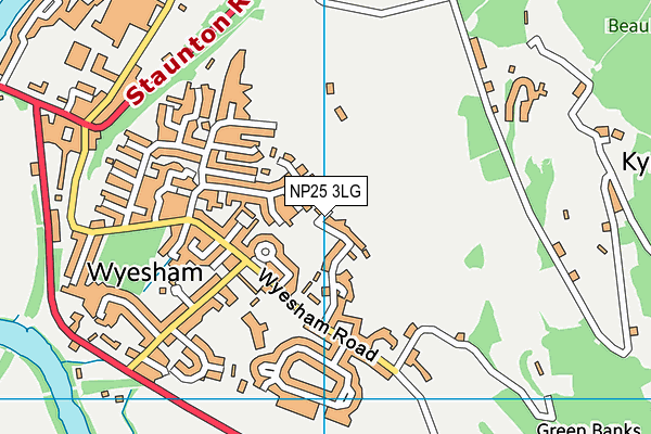 NP25 3LG map - OS VectorMap District (Ordnance Survey)