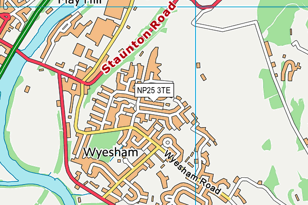 NP25 3TE map - OS VectorMap District (Ordnance Survey)