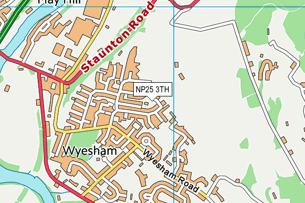 NP25 3TH map - OS VectorMap District (Ordnance Survey)