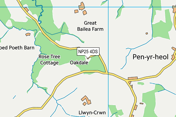 NP25 4DS map - OS VectorMap District (Ordnance Survey)