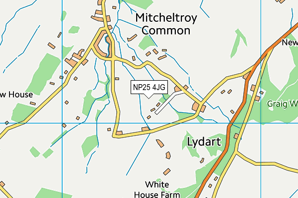NP25 4JG map - OS VectorMap District (Ordnance Survey)
