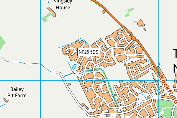 NP25 5DS map - OS VectorMap District (Ordnance Survey)