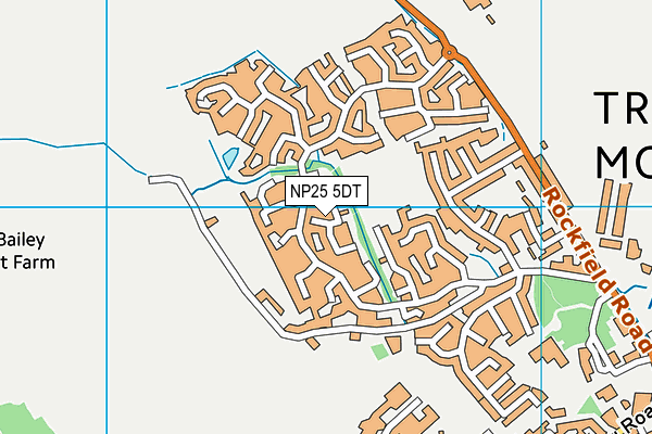 NP25 5DT map - OS VectorMap District (Ordnance Survey)
