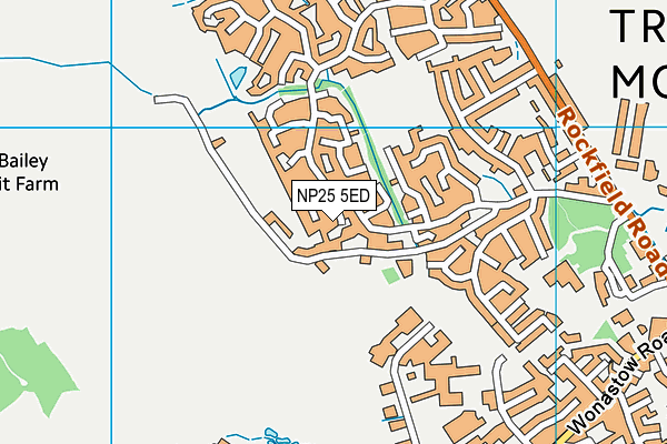 NP25 5ED map - OS VectorMap District (Ordnance Survey)