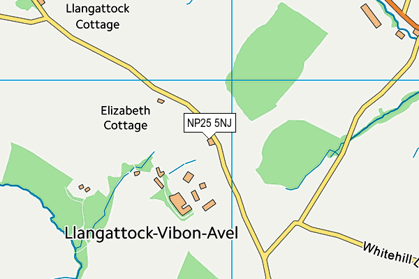 NP25 5NJ map - OS VectorMap District (Ordnance Survey)