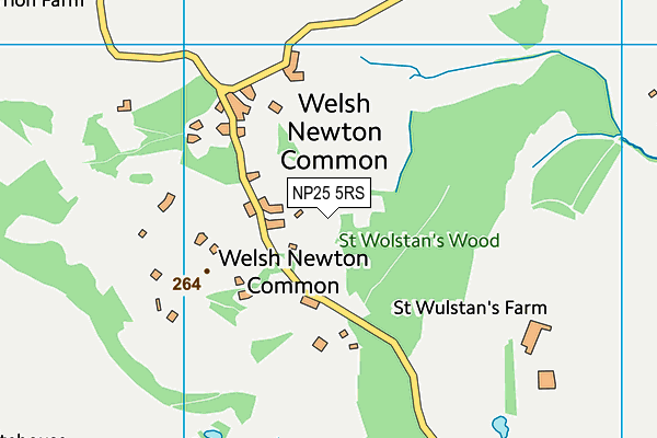 NP25 5RS map - OS VectorMap District (Ordnance Survey)