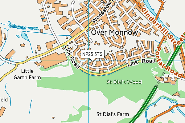 NP25 5TS map - OS VectorMap District (Ordnance Survey)